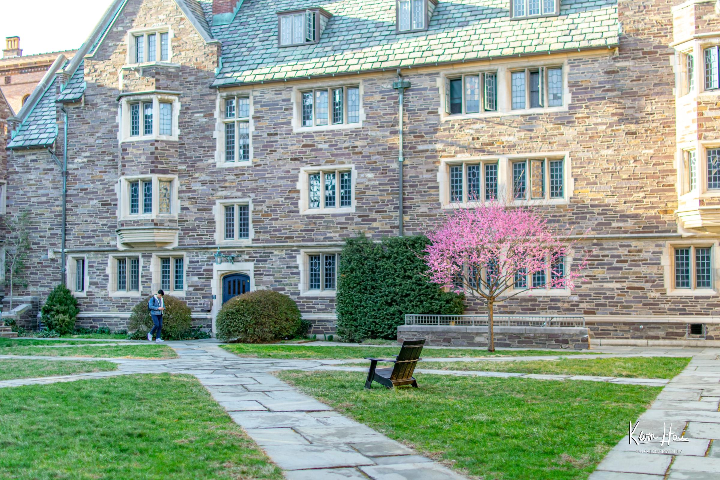1903 Courtyard Landscape