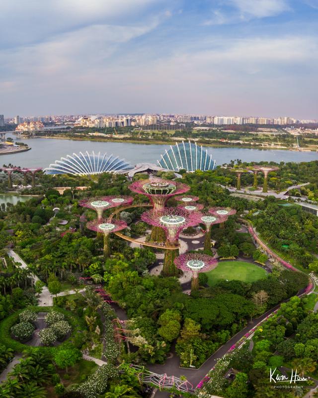 Gardens by the Bay (Vertical Drone)