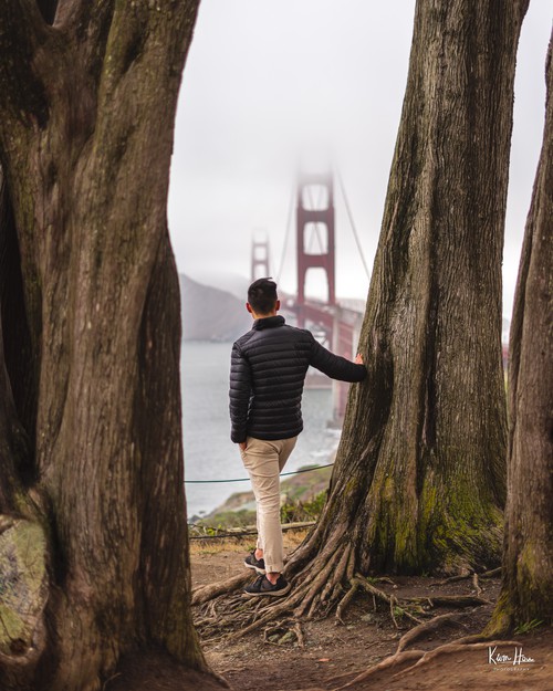 Golden Gate Bridge Through Trees Portrait
