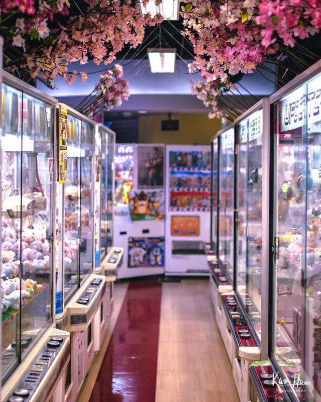 Tokyo Cherry Blossum Arcade
