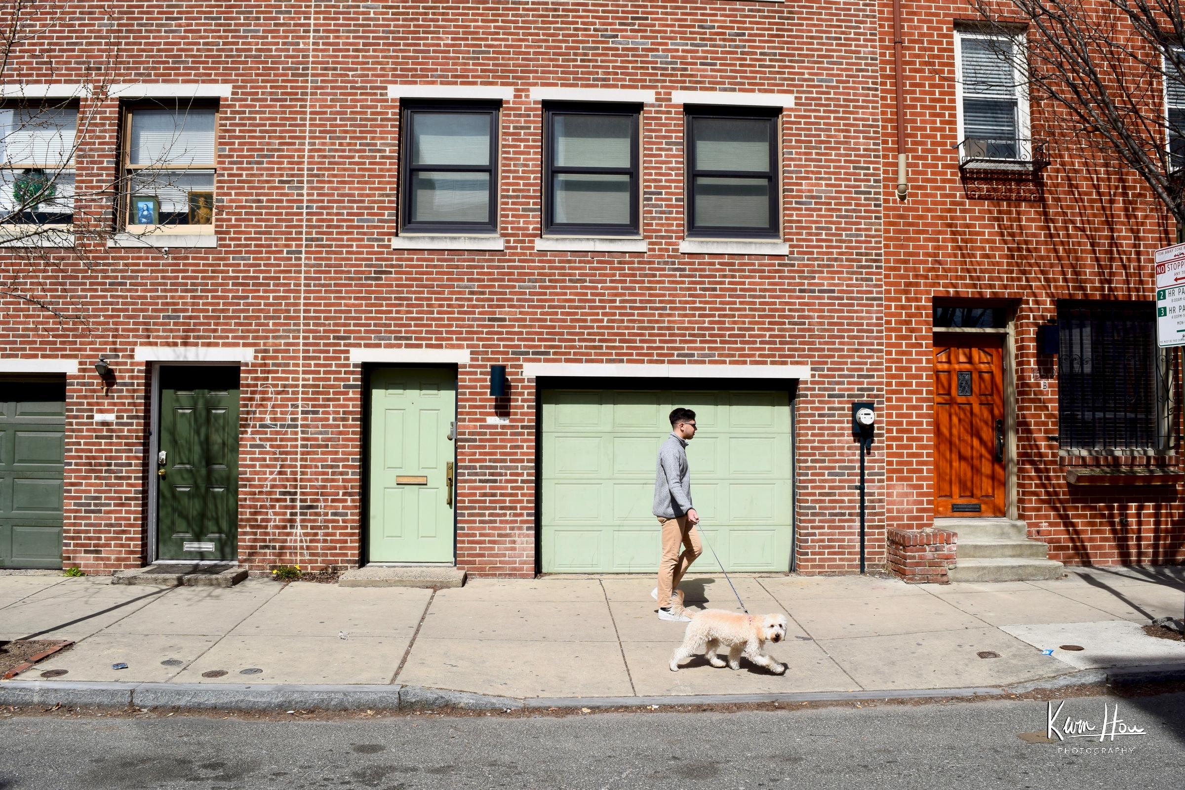 Walking Dog in Philly