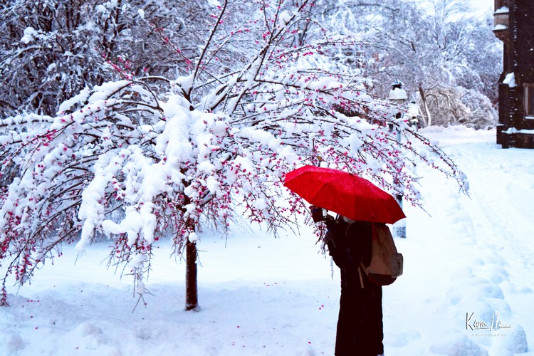 Woman with Red Umbrella in Snow