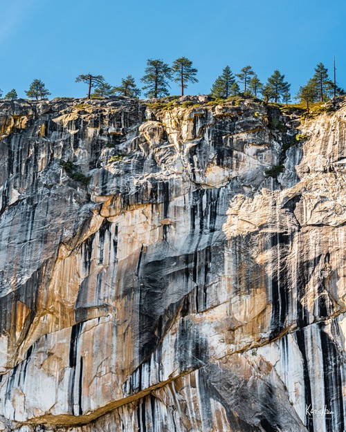 Yosemite Lichens