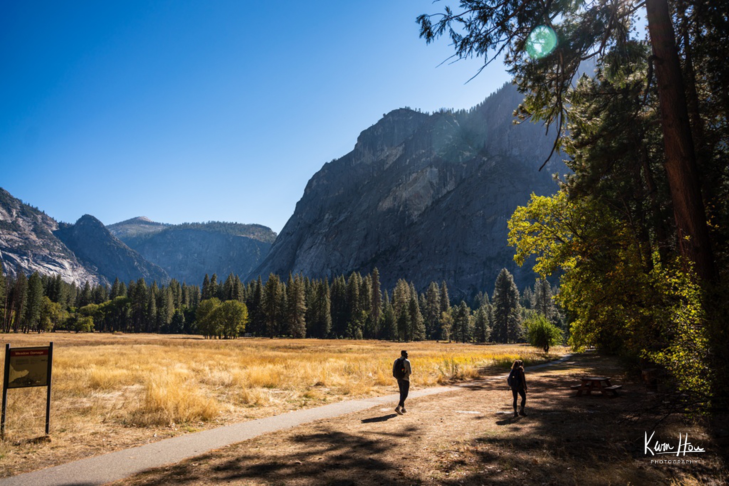 Yosemite Valley Meadow