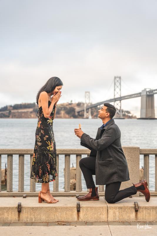 Aravind and Laya Engagement Proposal
