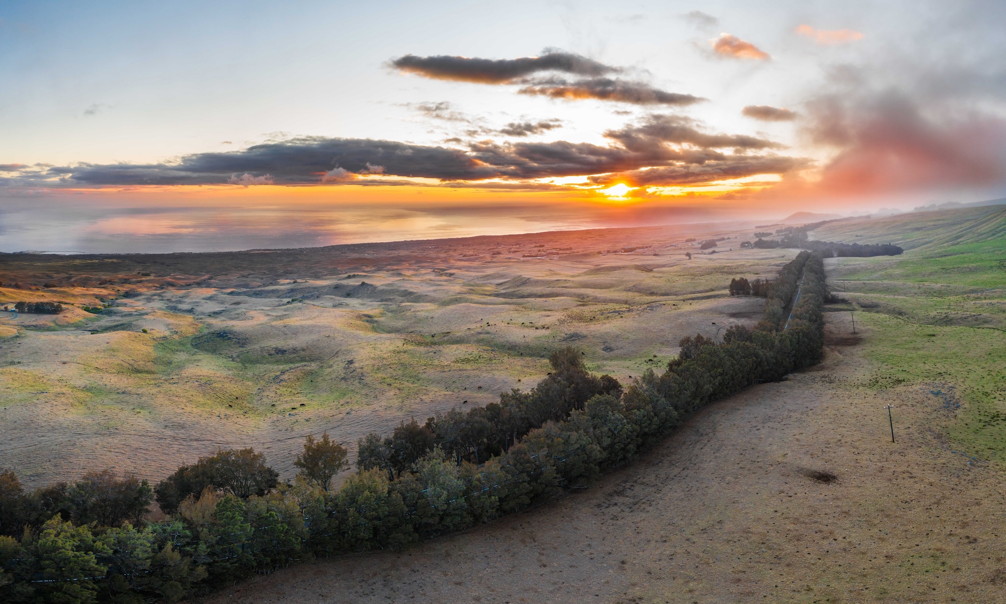 Big Island Sunset Meadows Panorama