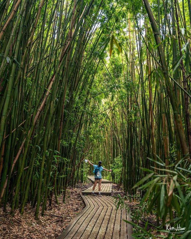 Pipiwai Bamboo Forest
