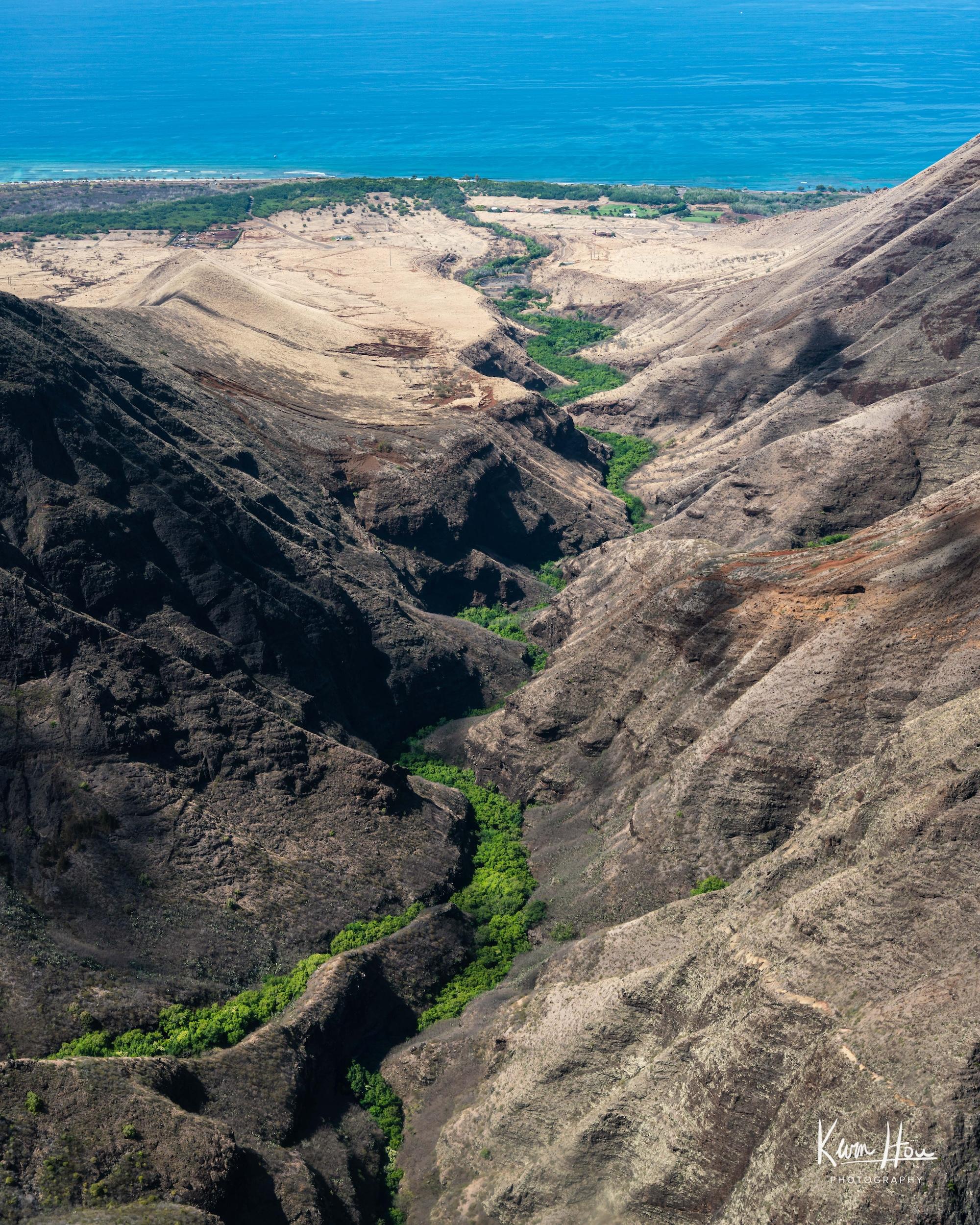 River of Trees on Haleakalā
