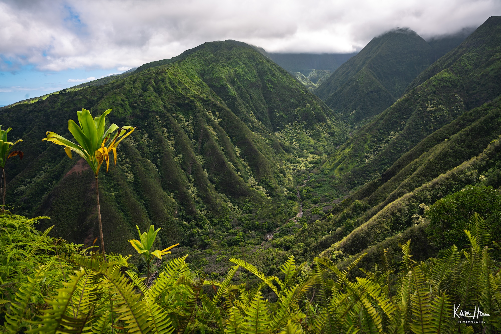 Waihee Ridge Trail Valley