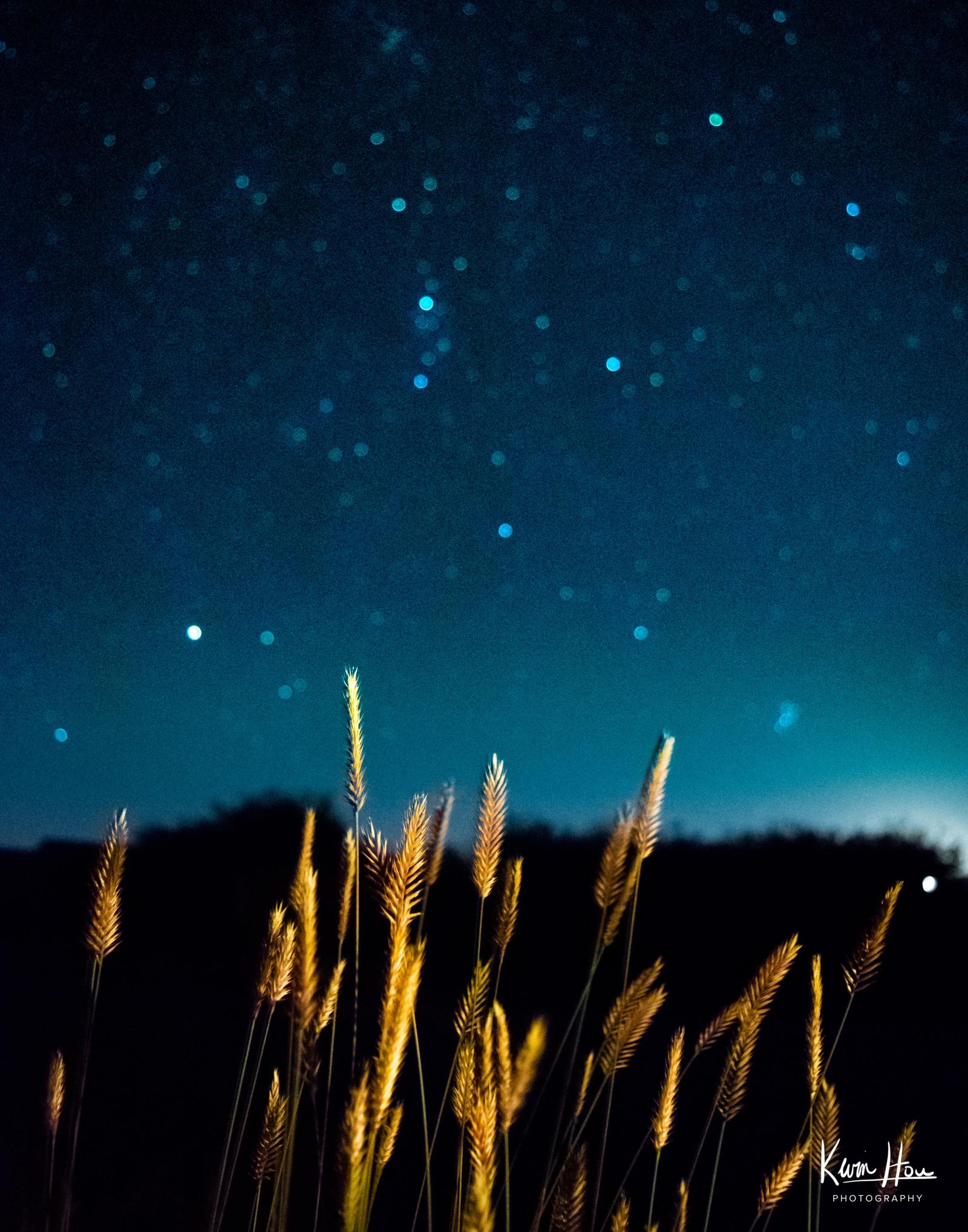 Grand Teton Astro with Grass (USA Road Trip)
